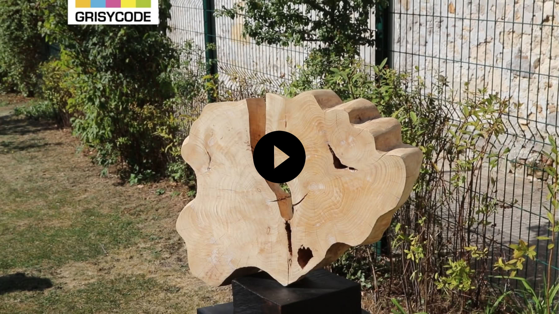 Vid&eacute;o Lire la vidéo